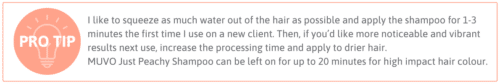 I like to squeeze as much water out of the hair as possible and apply the shampoo for 1-3 minutes the first time I use on a new client. Then, if you’d like more noticeable and vibrant results next use, increase the processing time and apply to drier hair. MUVO Just Peachy Shampoo can be left on for up to 20 minutes for high impact hair colour.