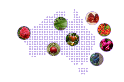 Australian map_purple dots_with native extracts